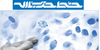 مطالبه از نمایندگان منتخب برای پیشرفت واقعی