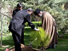 کاشت نهال در هفته درختکاری توسط رهبر انقلاب