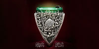 بأمان الله یا شهید الله